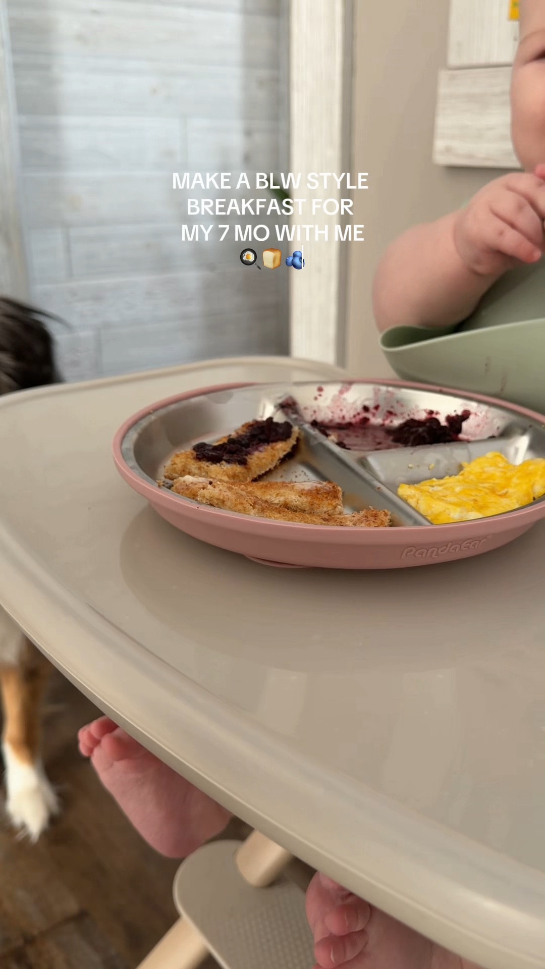 BLW style breakfast🫐🍳

#LTKBaby #LTKmomlife #LTKHome