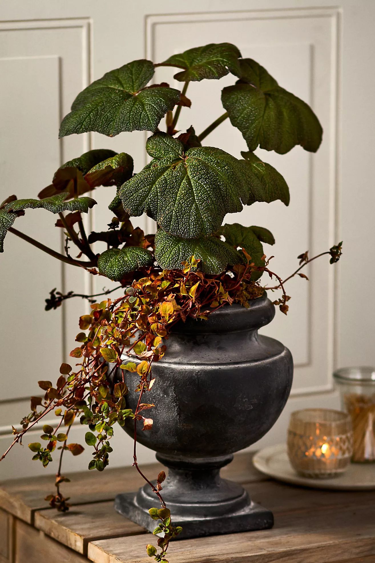 Rounded Cast Iron Urn Planter | Terrain