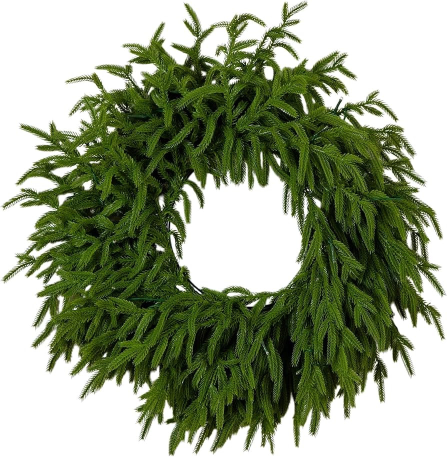 Nearly Natural 20in. Pre-Lit Real Touch Norfolk Island Pine Wreath with 35 Warm White LED Lights | Amazon (US)