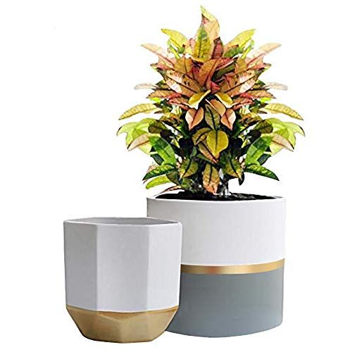 LA JOLIE MUSE White Ceramic Flower Pot Garden Planters 6.5 Inch Pack 2 Indoor Plant Containers with  | Amazon (US)