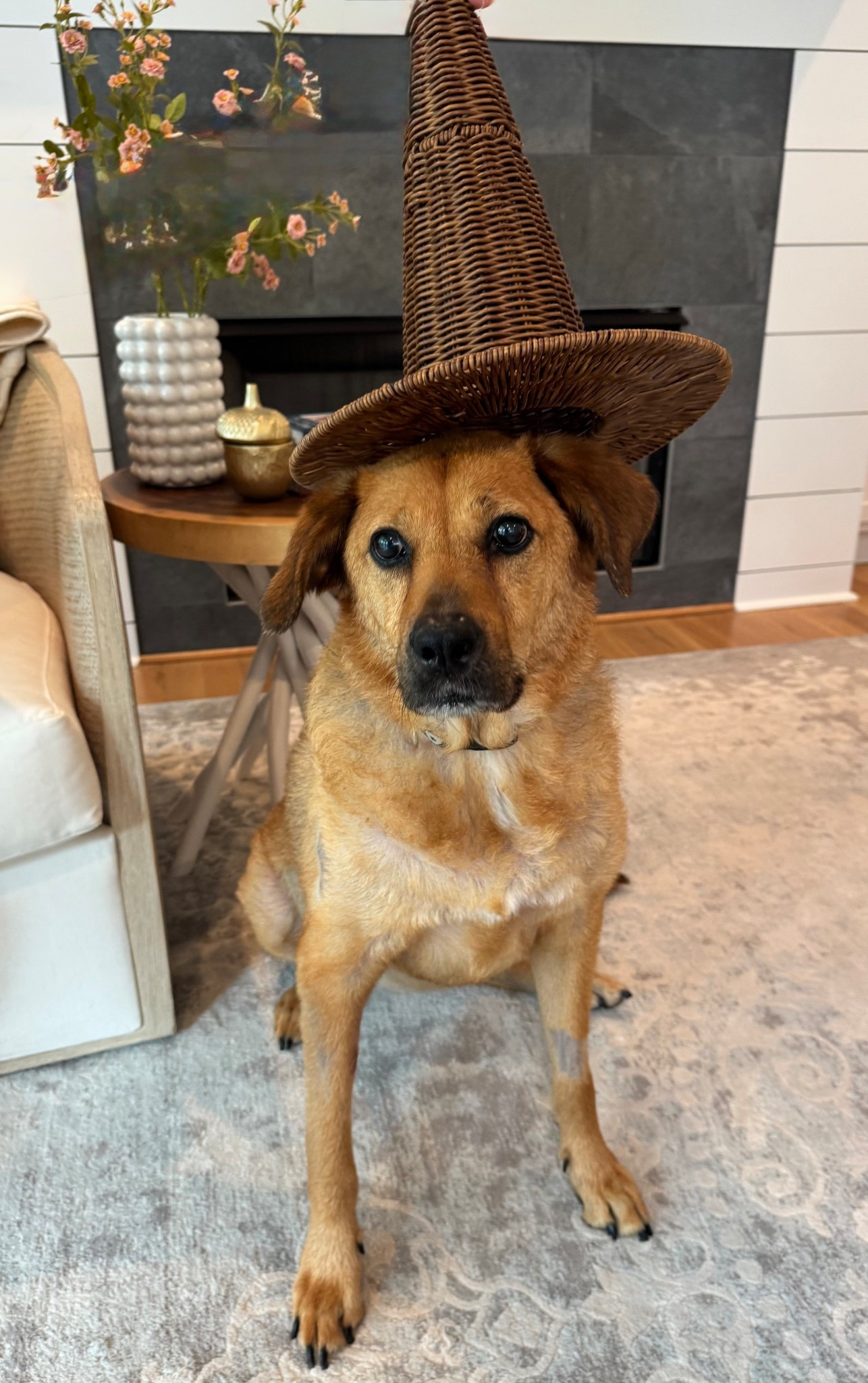 Spooky season is upon us and this decorative wicker hat is on Sale! 

#LTKSaleAlert #LTKSeasonal #LTKHome