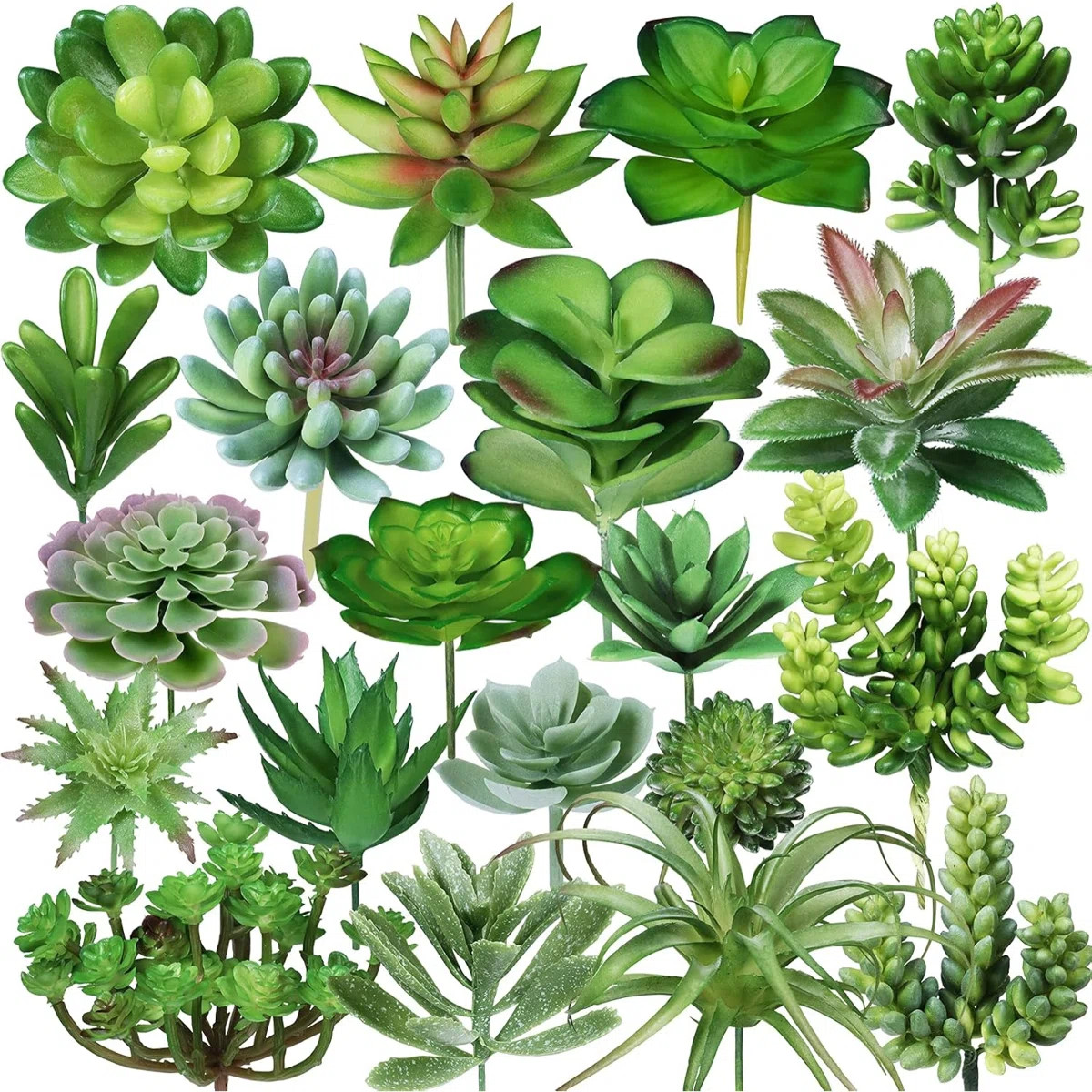 20 Pcs Assorted Artificial Succulent Plants Small Unpotted Cactus Echeveria Air Plant Picks For I... | Wayfair North America