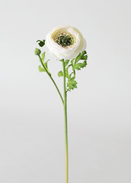 Silk Ranunculus in Cream - 13 | Afloral (US)