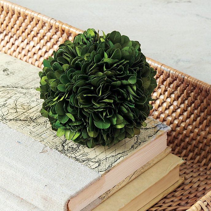 Preserved Boxwood Sphere | Ballard Designs, Inc.