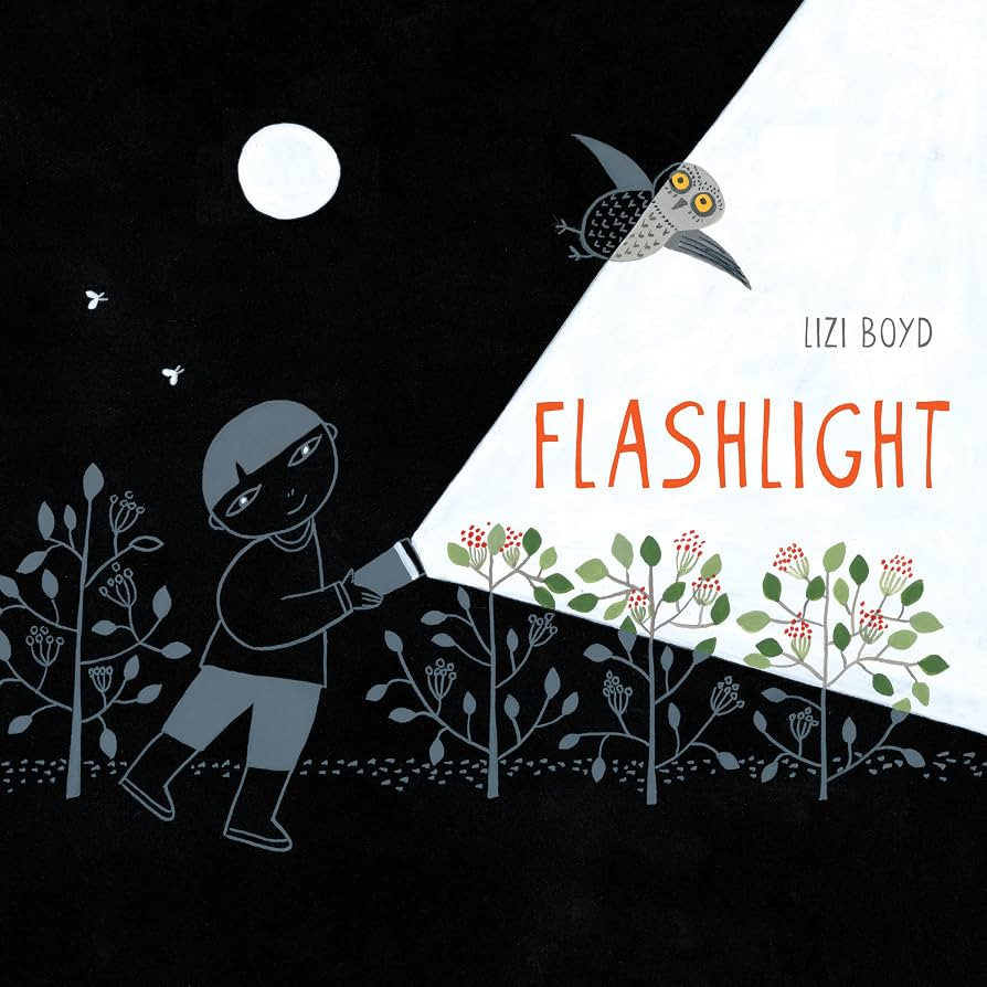Flashlight: (Picture Books, Wordless Books for Kids, Camping Books for Kids, Bedtime Story Books,... | Amazon (US)