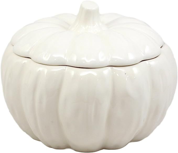 Ebros Gift Ceramic Stoneware White Harvest Pumpkin Bowl With Lid 6"Diameter (1) | Amazon (US)
