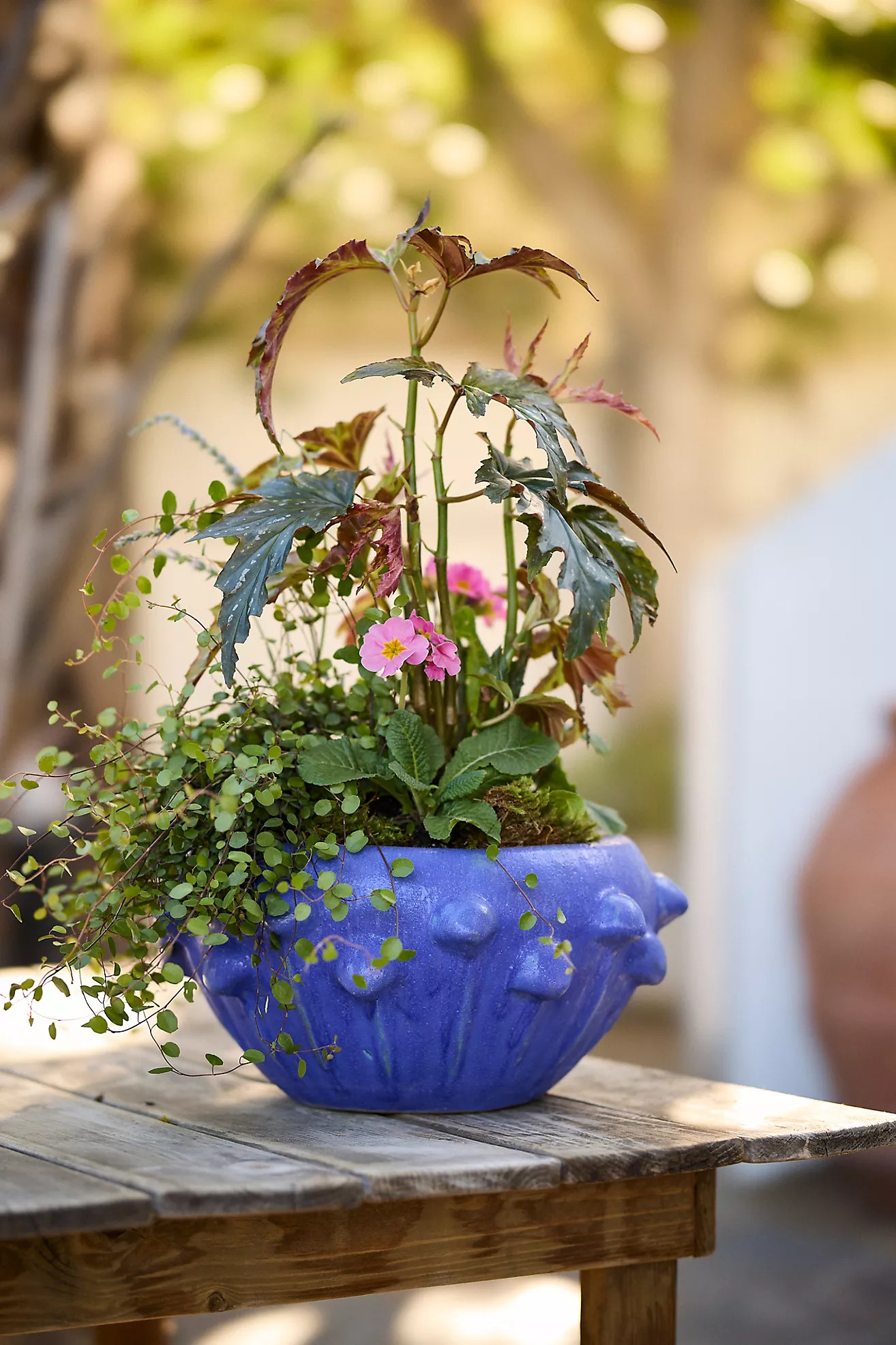 Knobby Blue Stoneware Bowl Planter | Anthropologie (US)