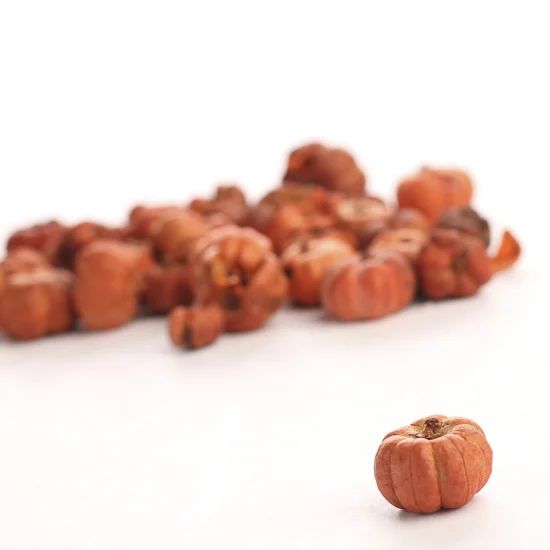 Factory Direct Craft Putka Pod Mini Pumpkins Fall Decorative Bowl Filler | Walmart (US)