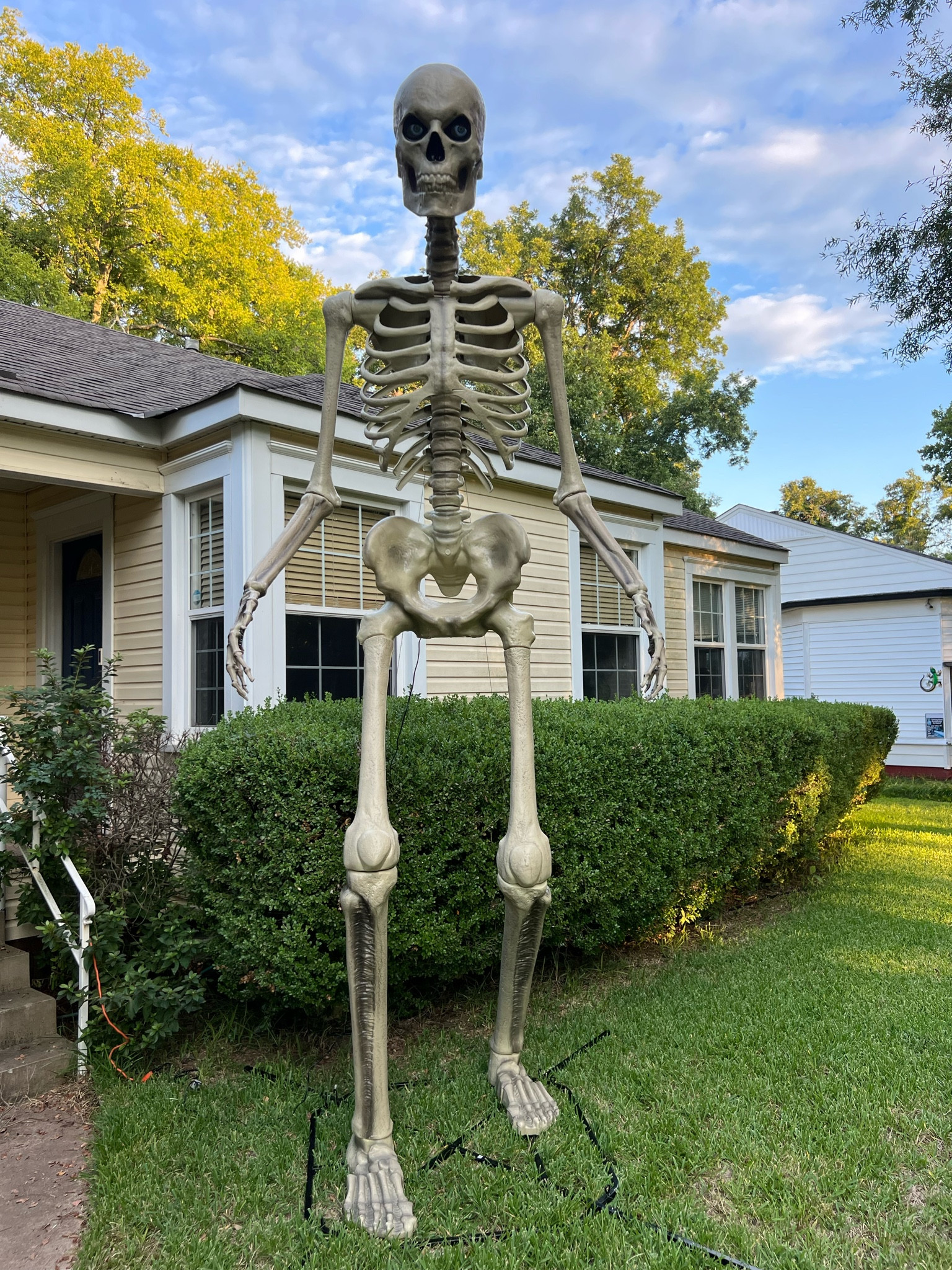 12 Foot Skeleton is back in stock!! #fall2023 #falldecor 

#LTKFind #LTKSeasonal #LTKhome