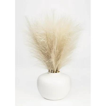 Better Homes & Gardens 14" Artificial Pampas Grass in White Ceramic Vase | Walmart (US)