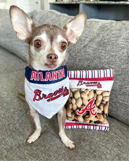 Go Braves!

Atlanta Braves, MLB, baseball, dog toy, dog bandana 

#LTKSeasonal #LTKfamily #LTKunder50