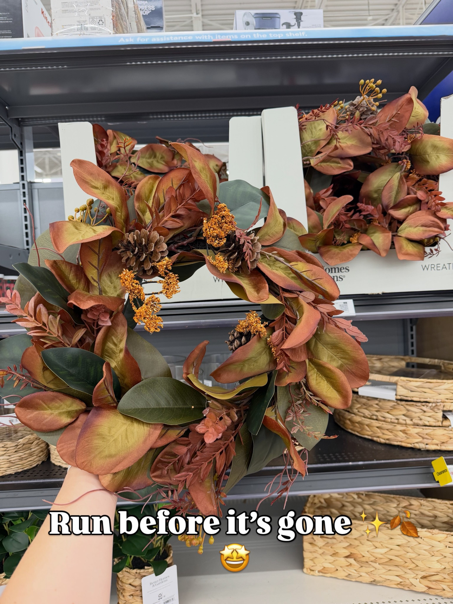 Beautiful new fall wreath at Walmart, love the look of these magnolia leaves! #walmarthome

#LTKHome