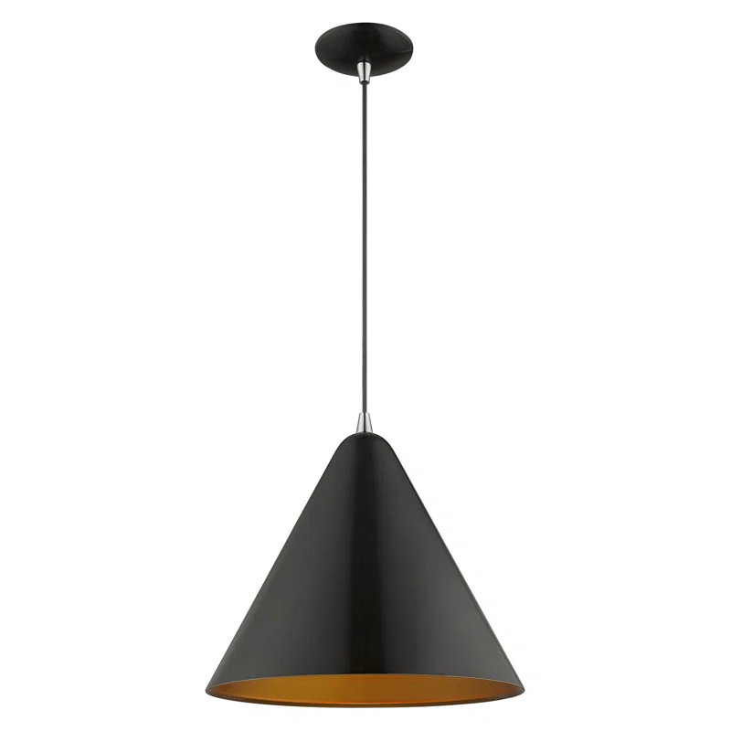 Oaklee 1 - Light Single Cone Pendant | Wayfair Professional