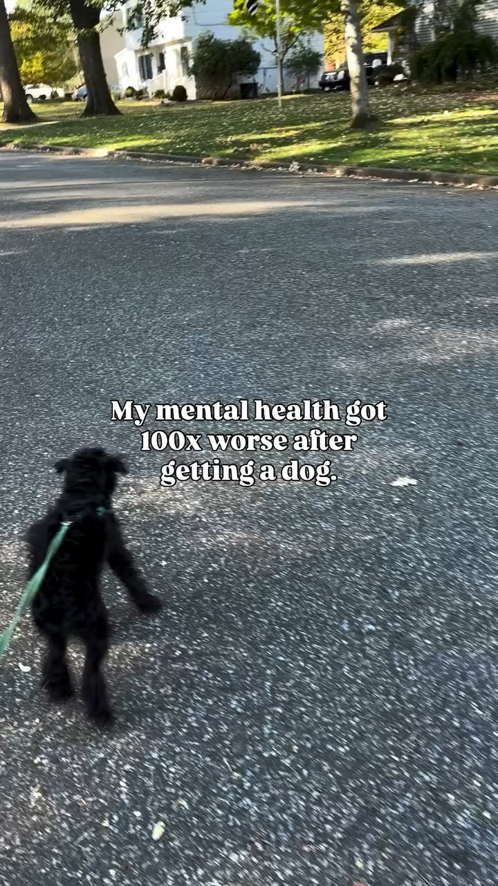 Who is walking who at this point…lol