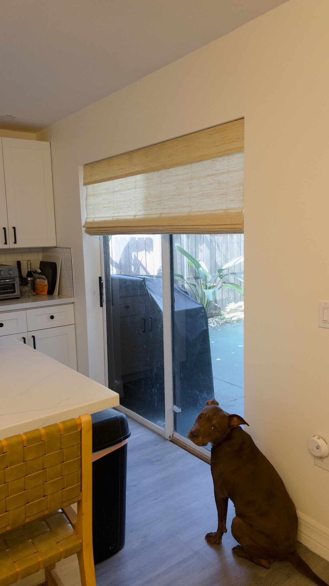 After 3 years of living here, I finally have blinds!! Bamboo roman shades to be exact, and my vision has come to life

I’ve always wanted cordless Roman shades for these big doors, and these bamboo shades from two pages were EXACTLY what I envisioned 

Easy to install and fit my warm neutral kitchen perfectly. This is the natural ramie bamboo woven shade in the color ‘cashew’.

The brand even gave me a discount code “LTK22” for 22%! Definitely going to be using that when I buy more shades for the rest of the house


#LTKSaleAlert #LTKHome