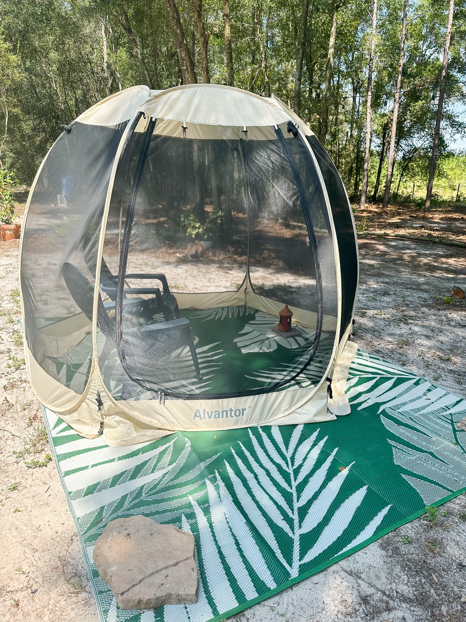 Living in Florida, the heat and mosquitoes can be unbearable. This canopy is perfect for sitting outside and keep away from the mosquitoes. The rug was a nice touch to keep sand and dirt a minimum. We love our little set up  

#LTKFamily #LTKParties #LTKHome