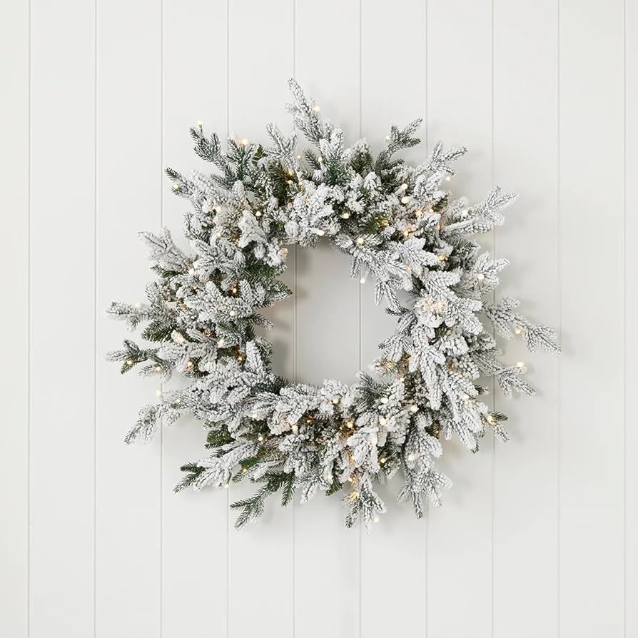 Dandan Flocked Pine 24" Wreath with Warm LED Lights Indoor Outdoor | Plug in Warm White LED Lights | | Amazon (US)