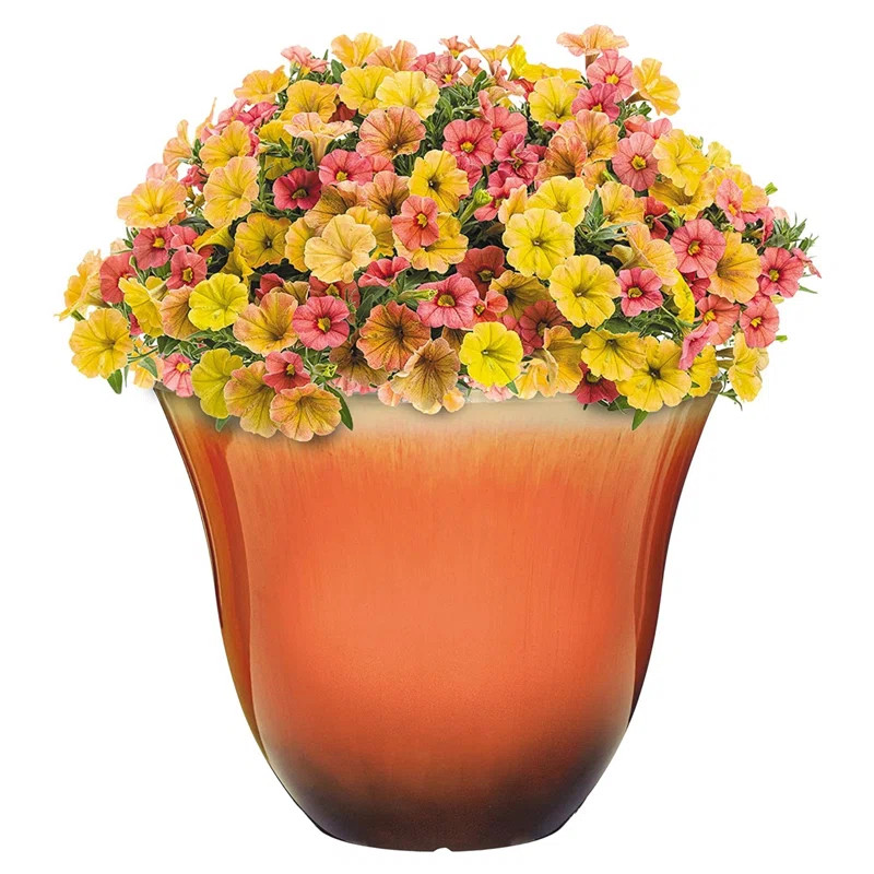 Winston Porter Kailla Pot Planter & Reviews | Wayfair | Wayfair North America