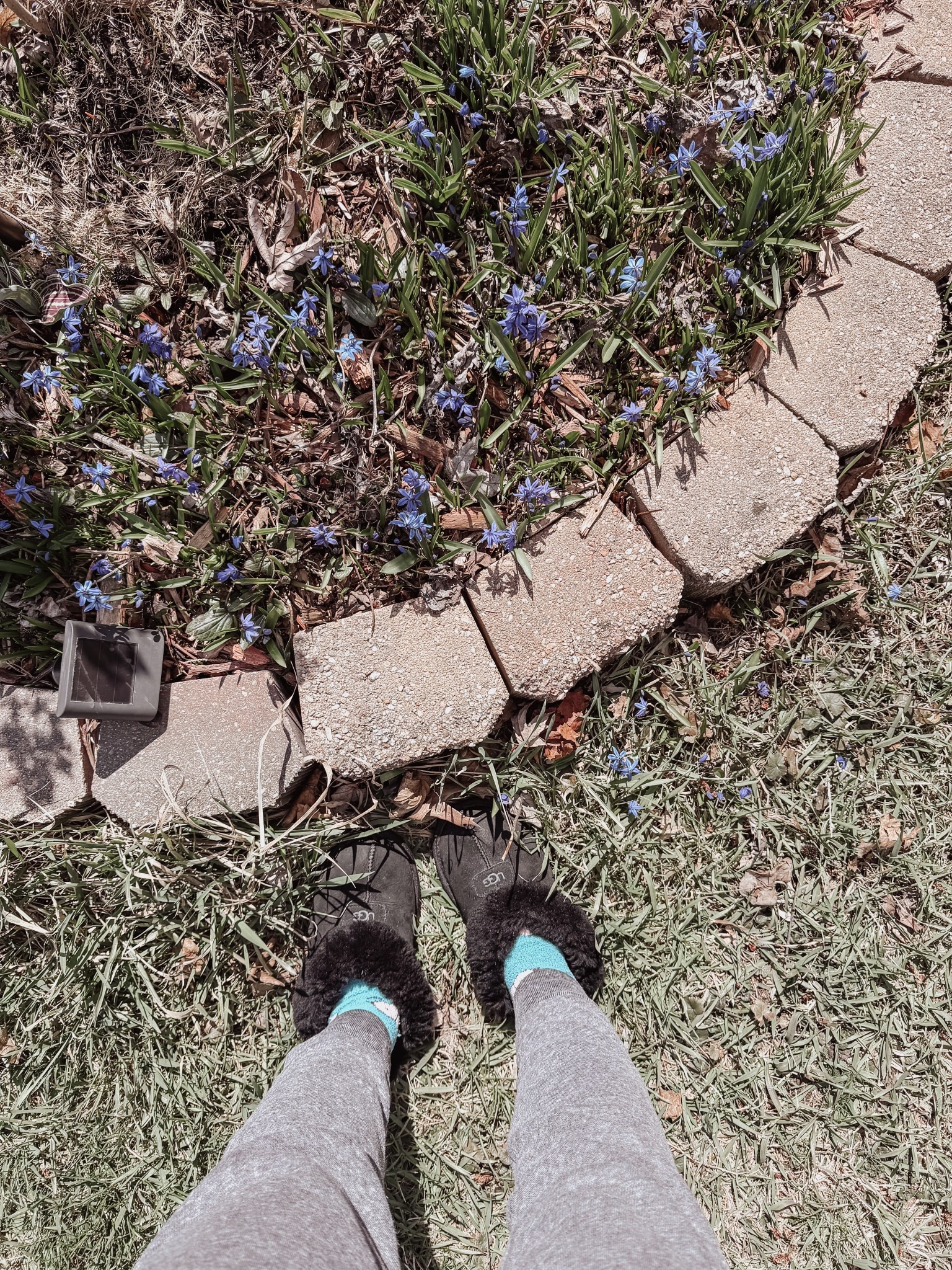 What grows with the years ❤️

#LTKdayinmylife #LTKootd #LTKSeasonal