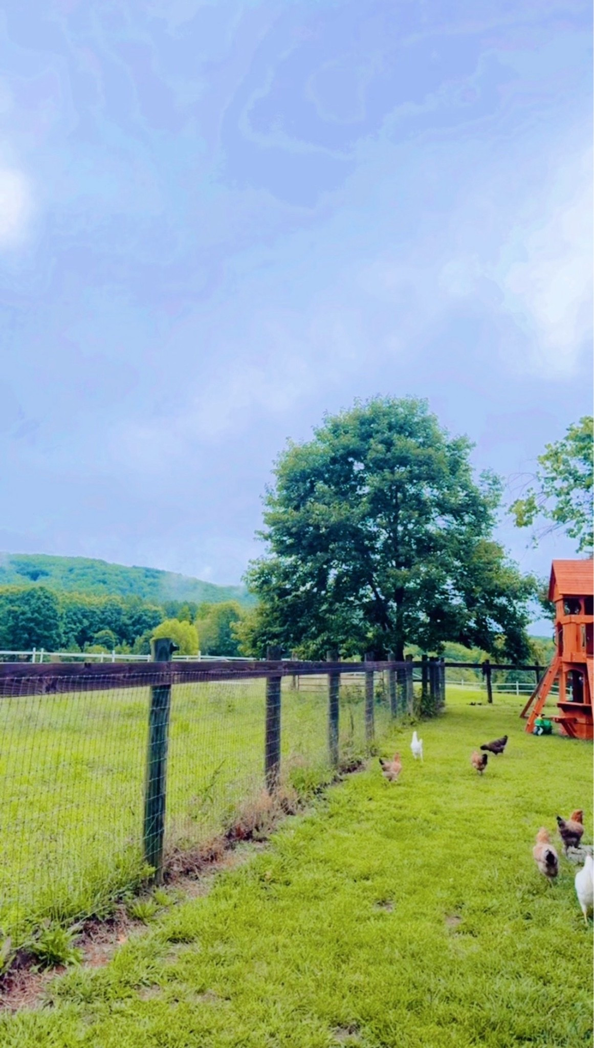 Happy friYAY and helloooooo weekend!!! ✨ We are headed to the Queen 👑 City 🏙️ for mama to get her every few months haircut hehe 💇🏼‍♀️ and the babies are excited to hang with Nana and Papaw!!! 🥰 But first… look at my morning backyard view of all of our animal friends!! 🐴🫏🐓 What a dream!! 💭