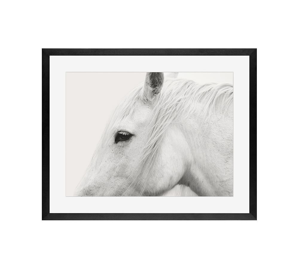 White Horse Framed Print by Jennifer Meyers | Pottery Barn (US)