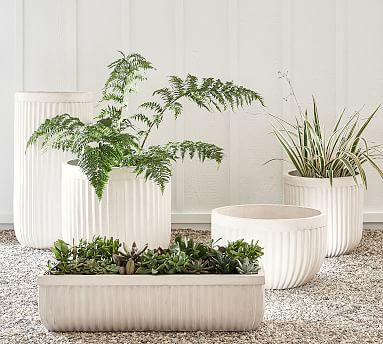 Concrete Fluted Planters | Pottery Barn (US)