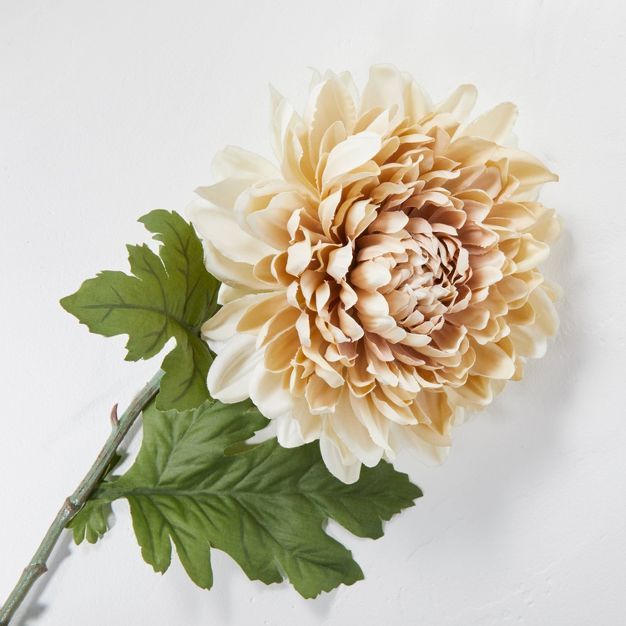 30" Faux Beige Chrysanthemum Flower Stem - Hearth & Hand™ with Magnolia | Target