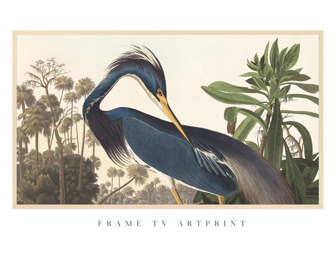 Samsung Frame TV Art vintage Bird Spring Calm - Etsy | Etsy (US)
