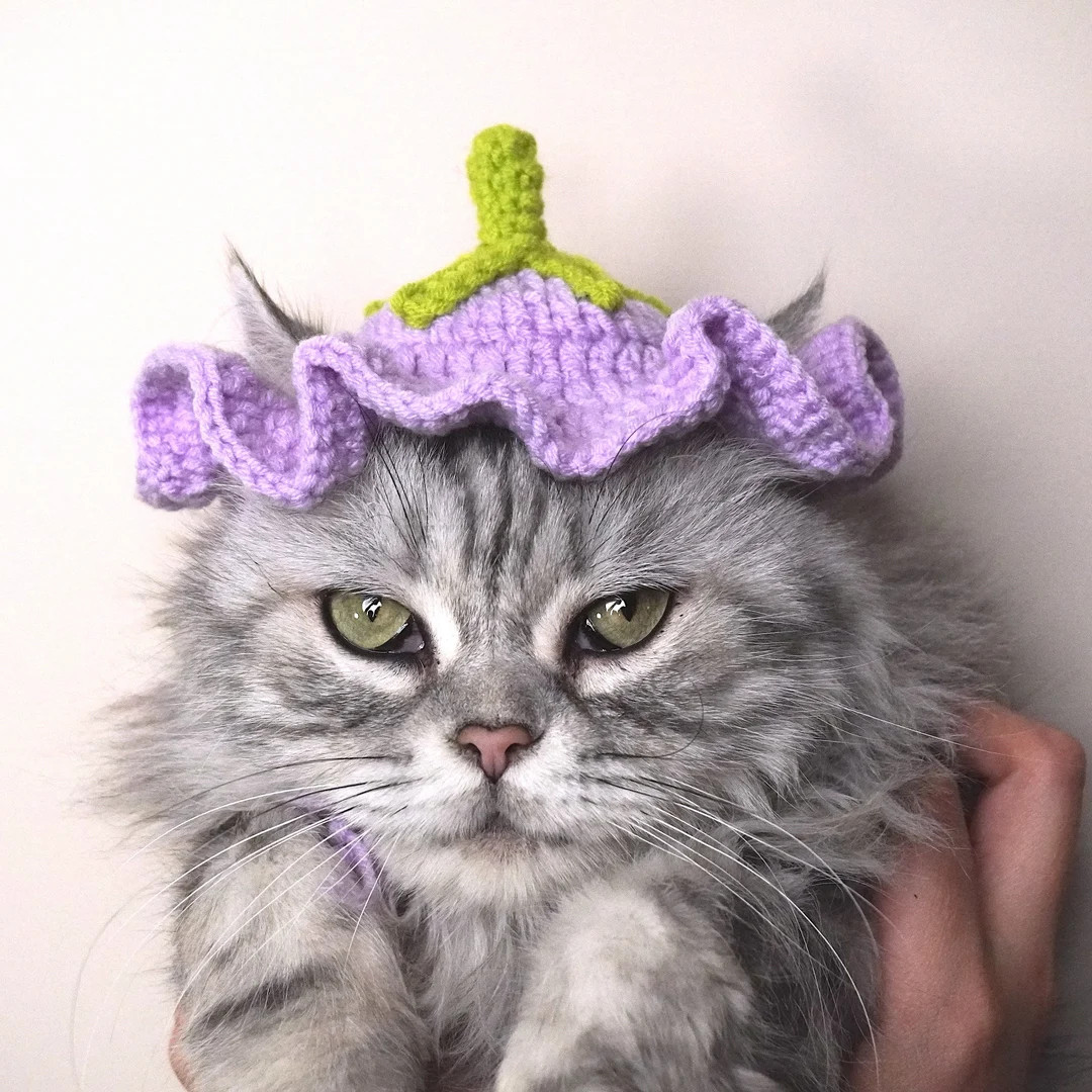 Flower Hat Crochet Hat for Cat or Small Dog Crochet Eggplant Hat Pattern for Cats and Dogs Cat Cl... | Etsy (US)