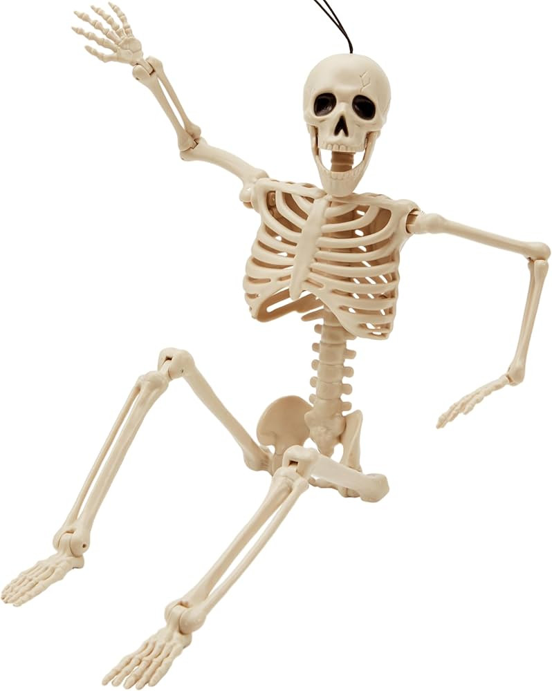 JOYIN 24” Halloween Skeleton Pose-N-Stay Full Body Plastic Bone with Posable Joints for Hallowe... | Amazon (US)