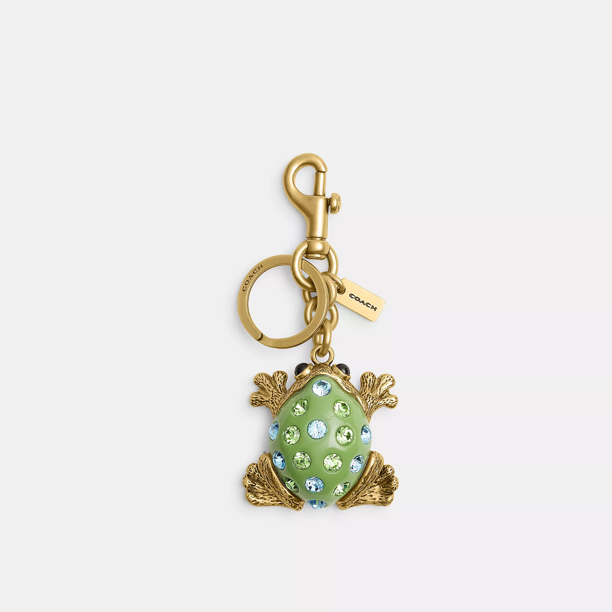 Frog Bag Charm | Coach (US)