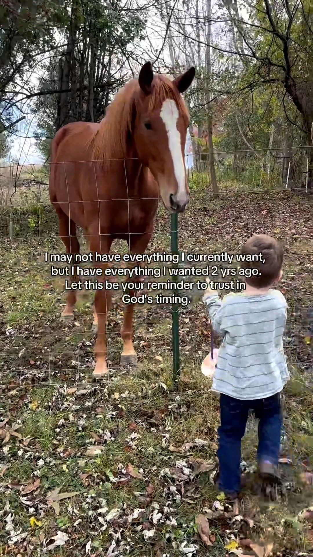 A horse and her boy 🥹

#LTKGiftGuide #LTKPets #LTKKids