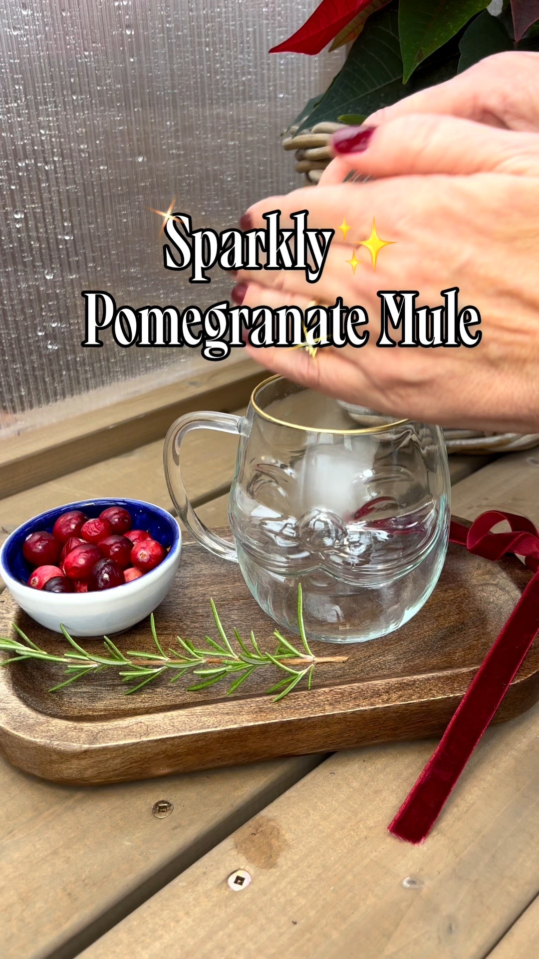 Sparkly Pomegranate Mule

1oz Pomegranate juice 
2oz Vodka
1 can Ginger Beer
1/2 Packet Fancy glitter
Stir with a sprig of rosemary
Add Cranberries or Pomegranate seeds

#LTKOver40 #LTKHoliday #LTKSeasonal