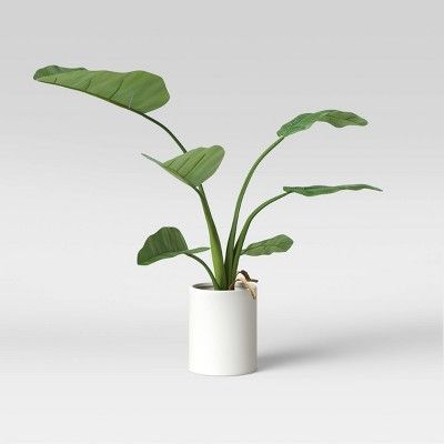 36&#34; x 26&#34; Artificial Travelers Banana Leaf in Pot - Project 62&#8482; | Target