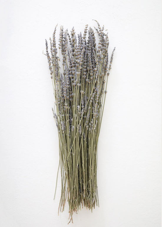 Dried Lavender Wildflower Bundle - 15-22 | Afloral (US)