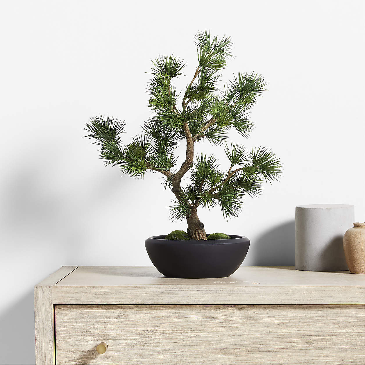 Potted Faux Pine Bonsai in Black Pot + Reviews | Crate & Barrel | Crate & Barrel