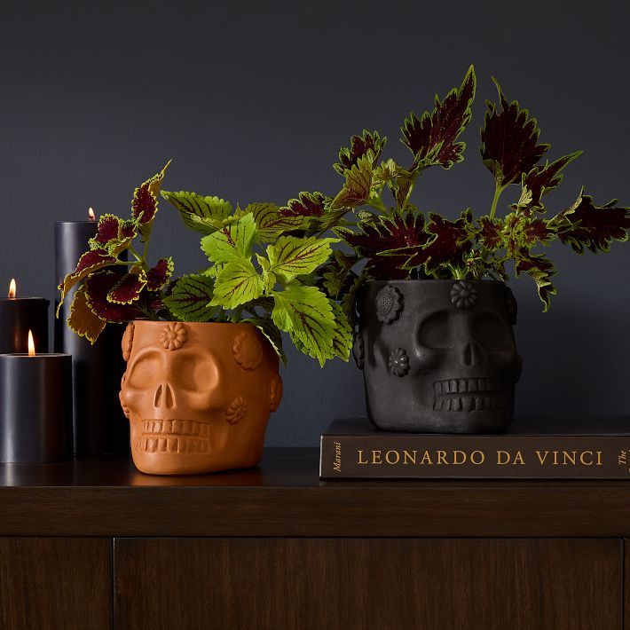 Terracotta Skull Tabletop Planters | West Elm (US)