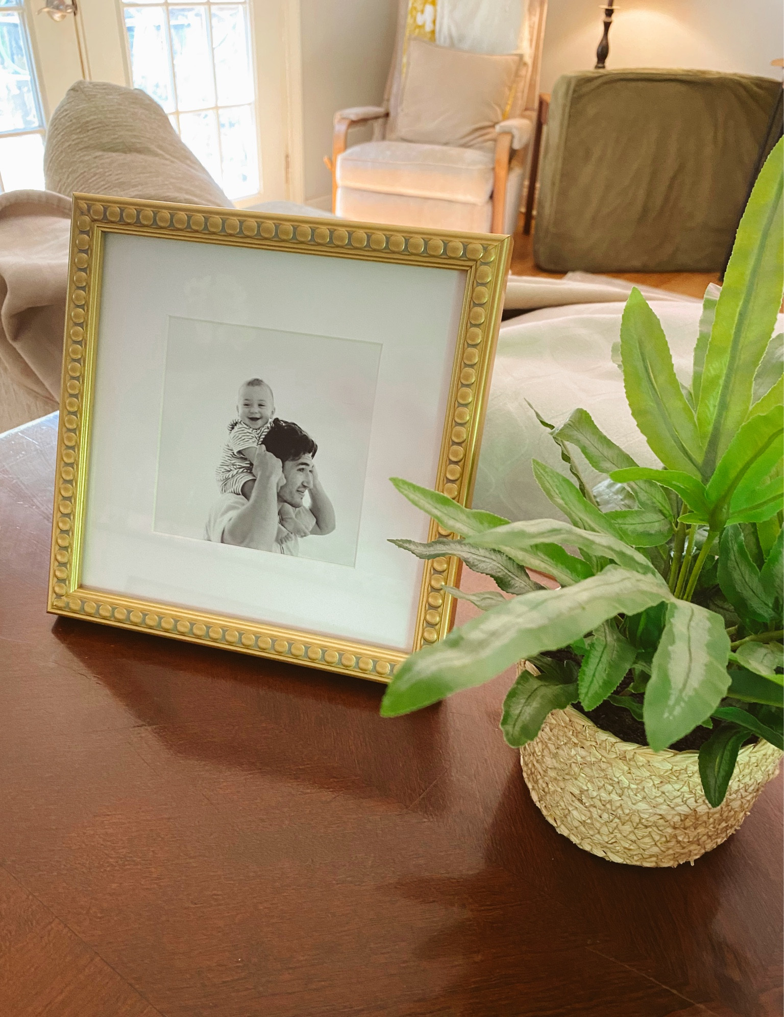 Pretty golden frame & plant. Target home.

#LTKGiftGuide #LTKunder50 #LTKhome