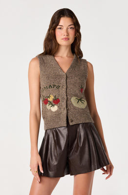 ASTR the Label | Eira Intarsia Sweater Vest in Mocha |  Size L | ASTR The Label (US)