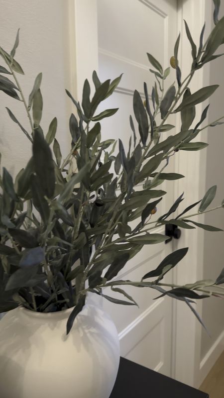 Absolute BEST faux olive stems!!! They look real and they’re affordable! Using 4 in a vase here!

Also sharing more of my favorite faux stems and vases down below!

Vases and stems, faux stems, greenery, home decor items, console table decor, entryway decor, entryway styling, decorating, must have

#LTKstyletip #LTKsalealert #LTKhome