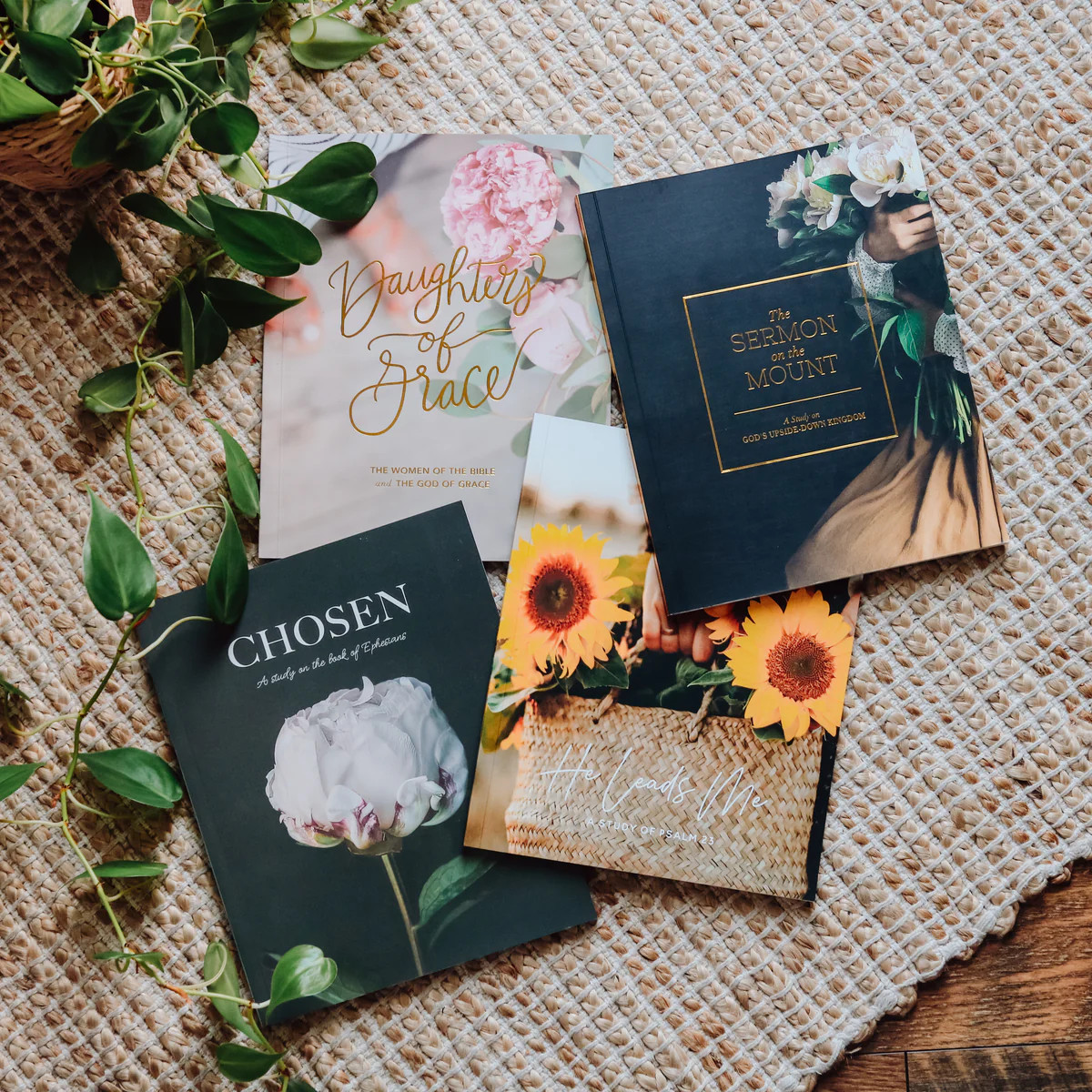 Bible Study Set - Volume 1 | The Daily Grace Co.