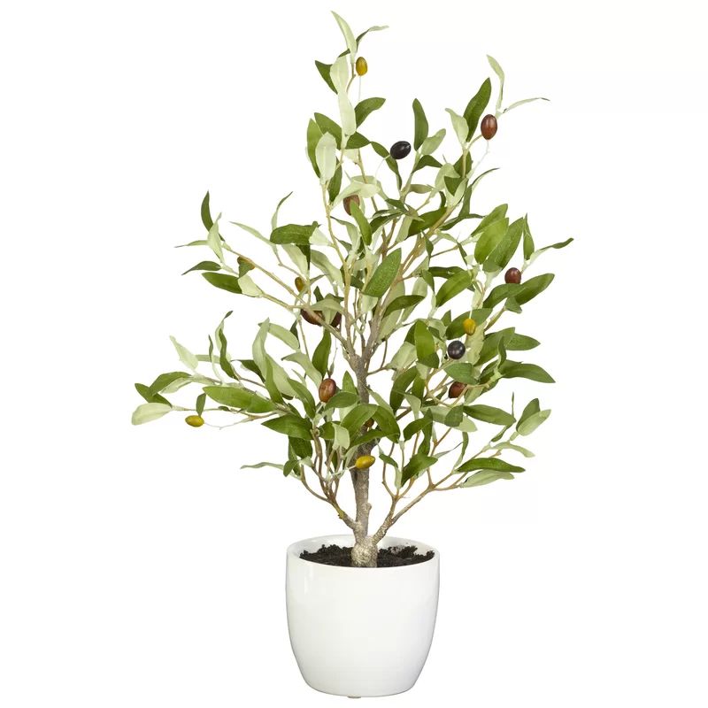 Olive Silk Desk Top Plant in Pot (Set of 2) | Wayfair North America