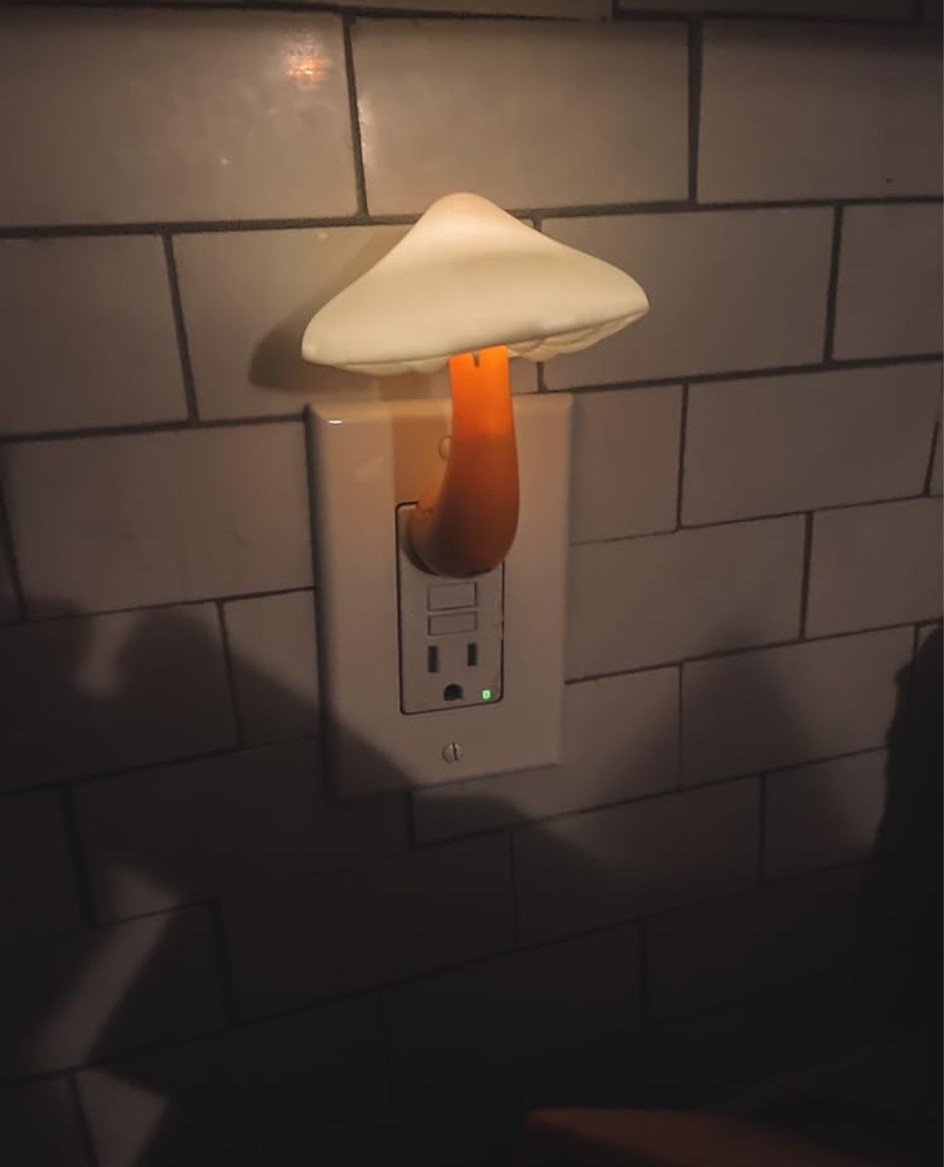 Soooo cute 🍄

#LTKGiftGuide #LTKHoliday #LTKhome