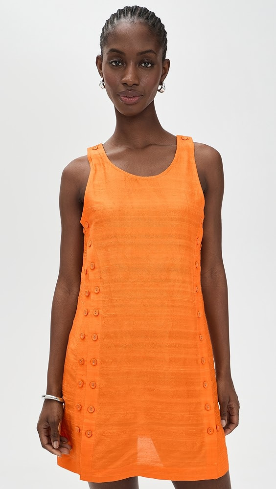 Palmo Mini Dress | Shopbop