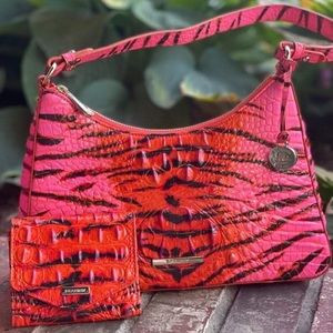 Brahmin Esme Pink feline & matching small Veronica | Poshmark