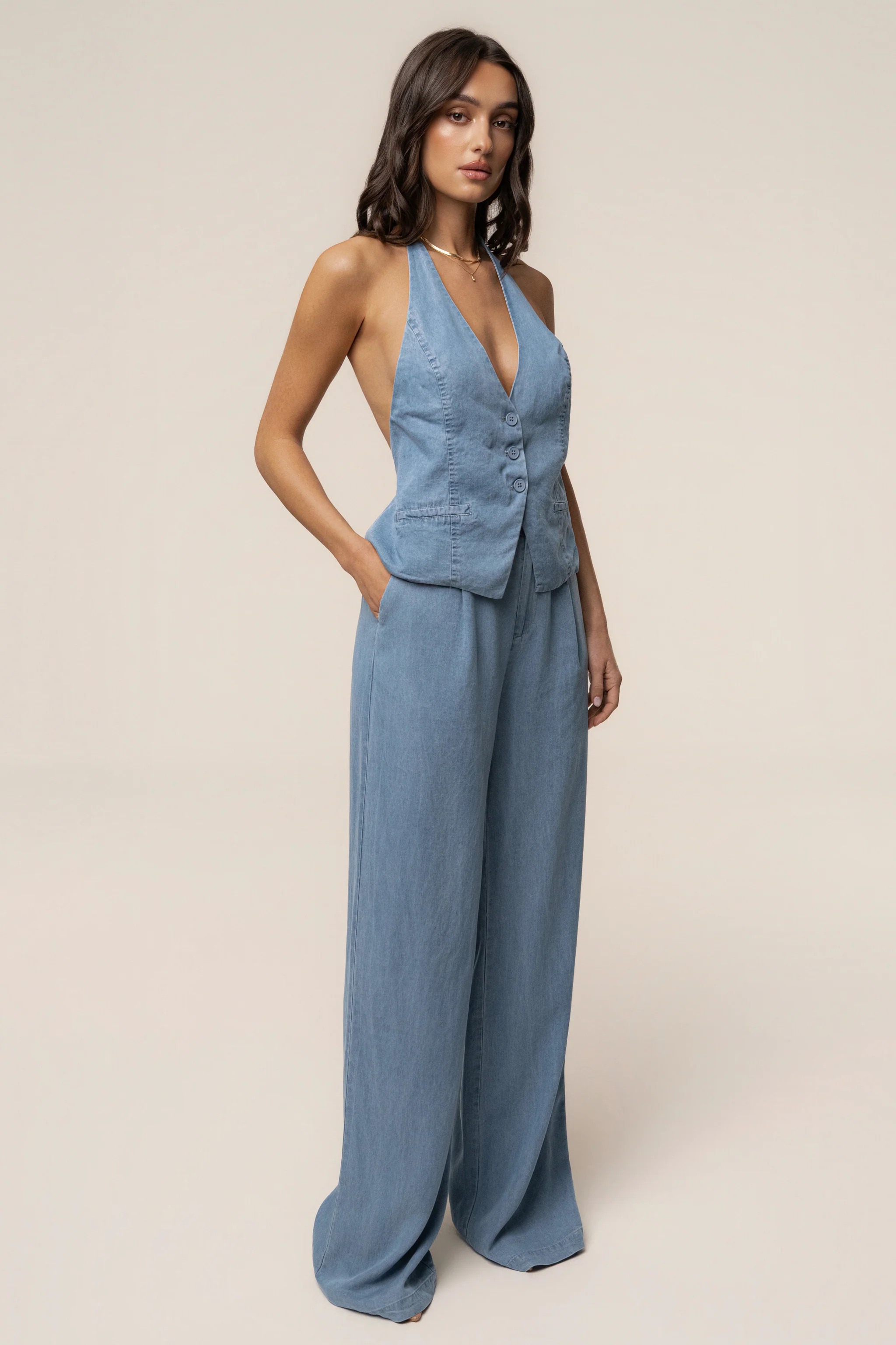 Chambray Downtown Pant | JLUXLABEL US