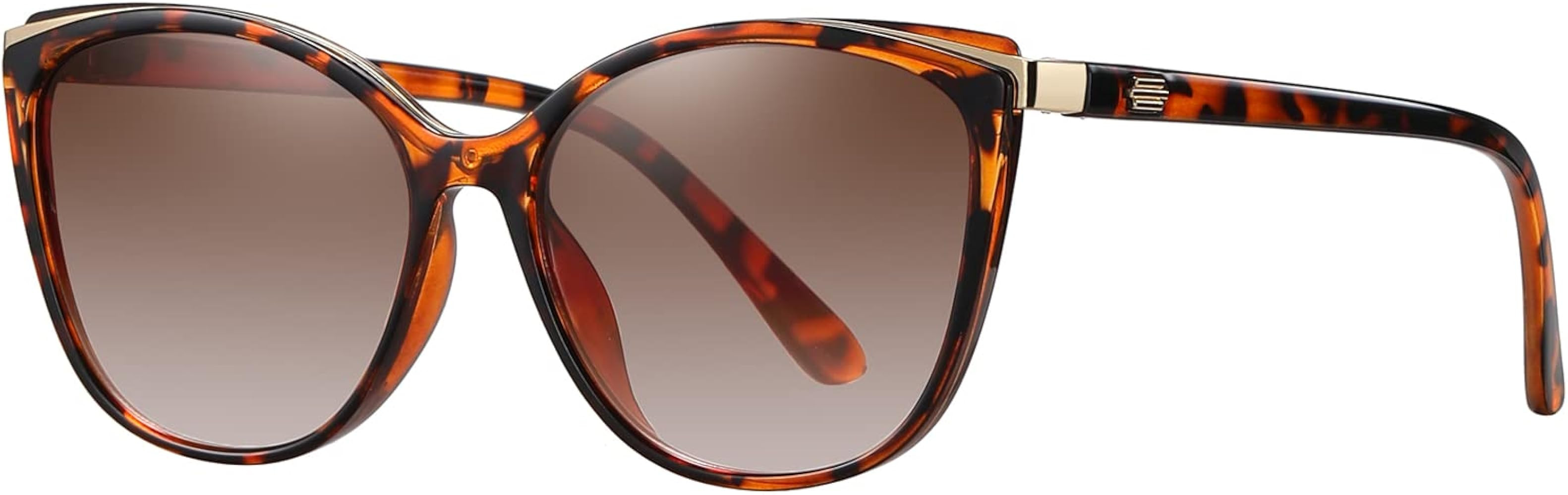 Trendy Cat Eye Sunglasses for Women Fashion Cateye UV400 Protection Glasses CL22017 | Amazon (US)