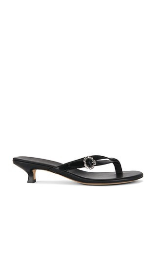 Coach Tea Rose Thong Kitten Heel in Black. - size 5.5 | Revolve Clothing (Global)