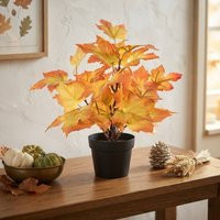 Garden Greatness Compact Autumn Leaf Potted Plant | Debenhams UK