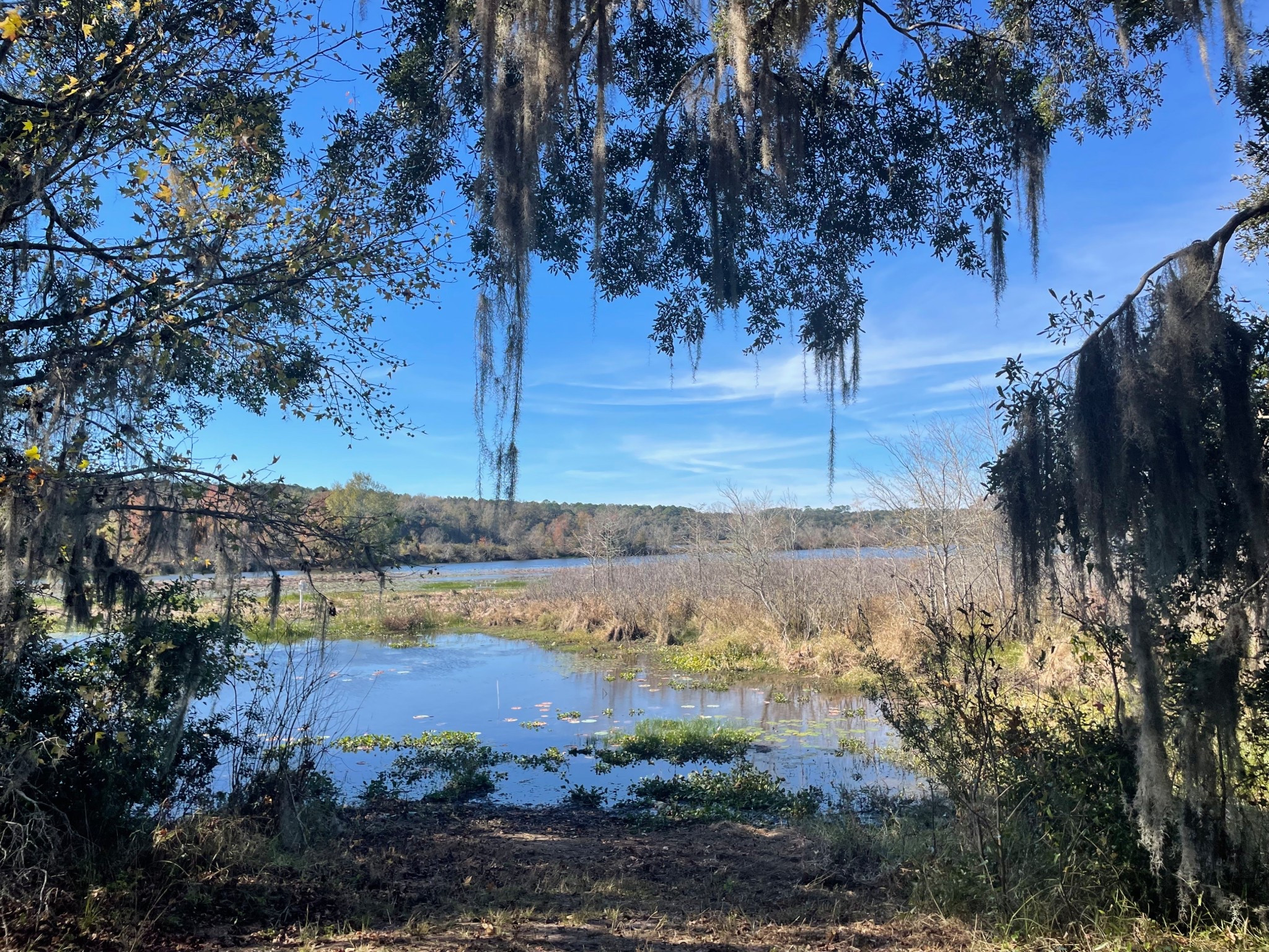 Such a stunning view 

#LTKstorytime #LTKmorningroutine